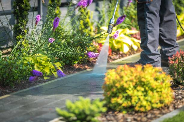 Best Parking Lot and Garage Cleaning  in Closter, NJ